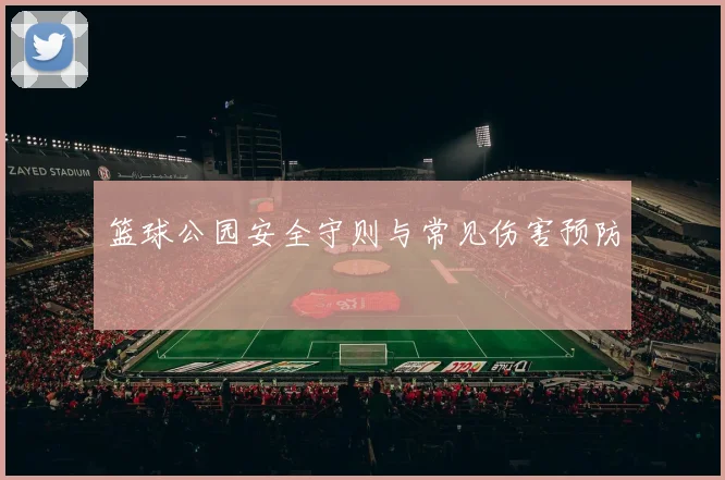 篮球公园安全守则与常见伤害预防